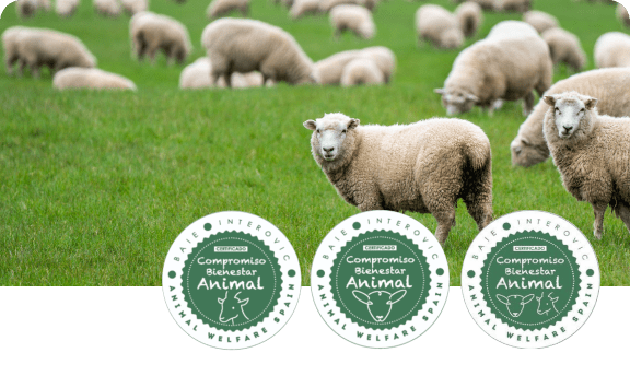 Certificado bienestar animal ovino y caprino