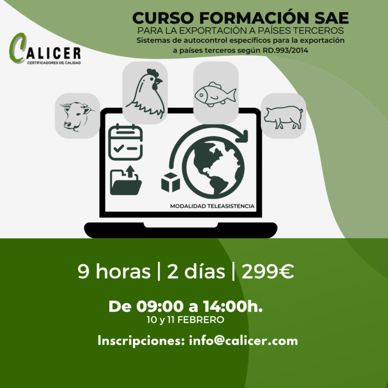 Curso SAE en Calicer