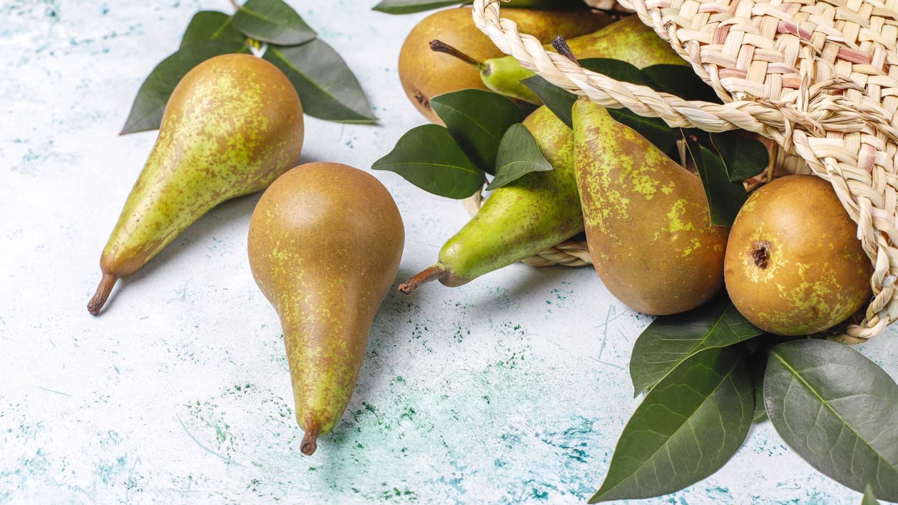 Fresh organic farm fruits,pears,quince,top view